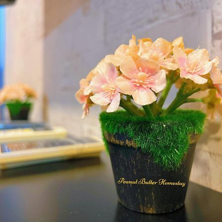 Peanut Butter Homestay #Trefoil Setia City Setia Alam Zewnętrze zdjęcie